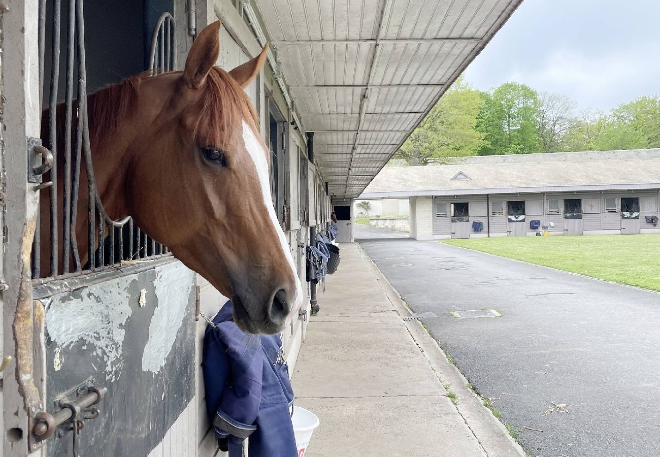 Apartment in Gouvieux - G26-Paddock