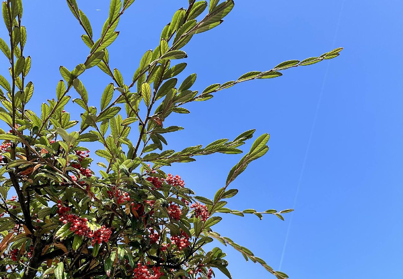 House in Senlis - 19- Le Refuge