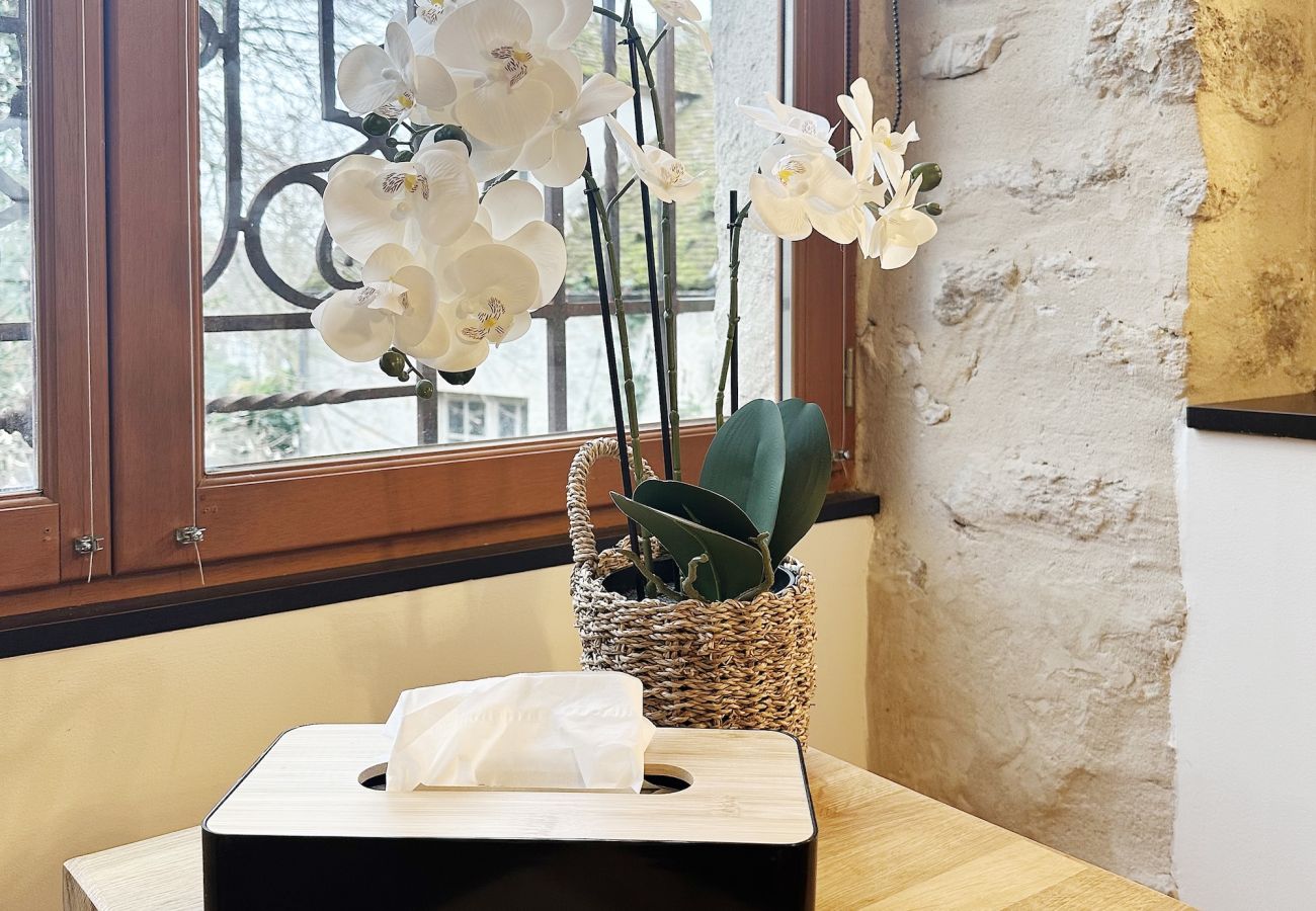 Apartment in Senlis - La Belle Échappée – Historic Senlis Apartment with Bike Storage