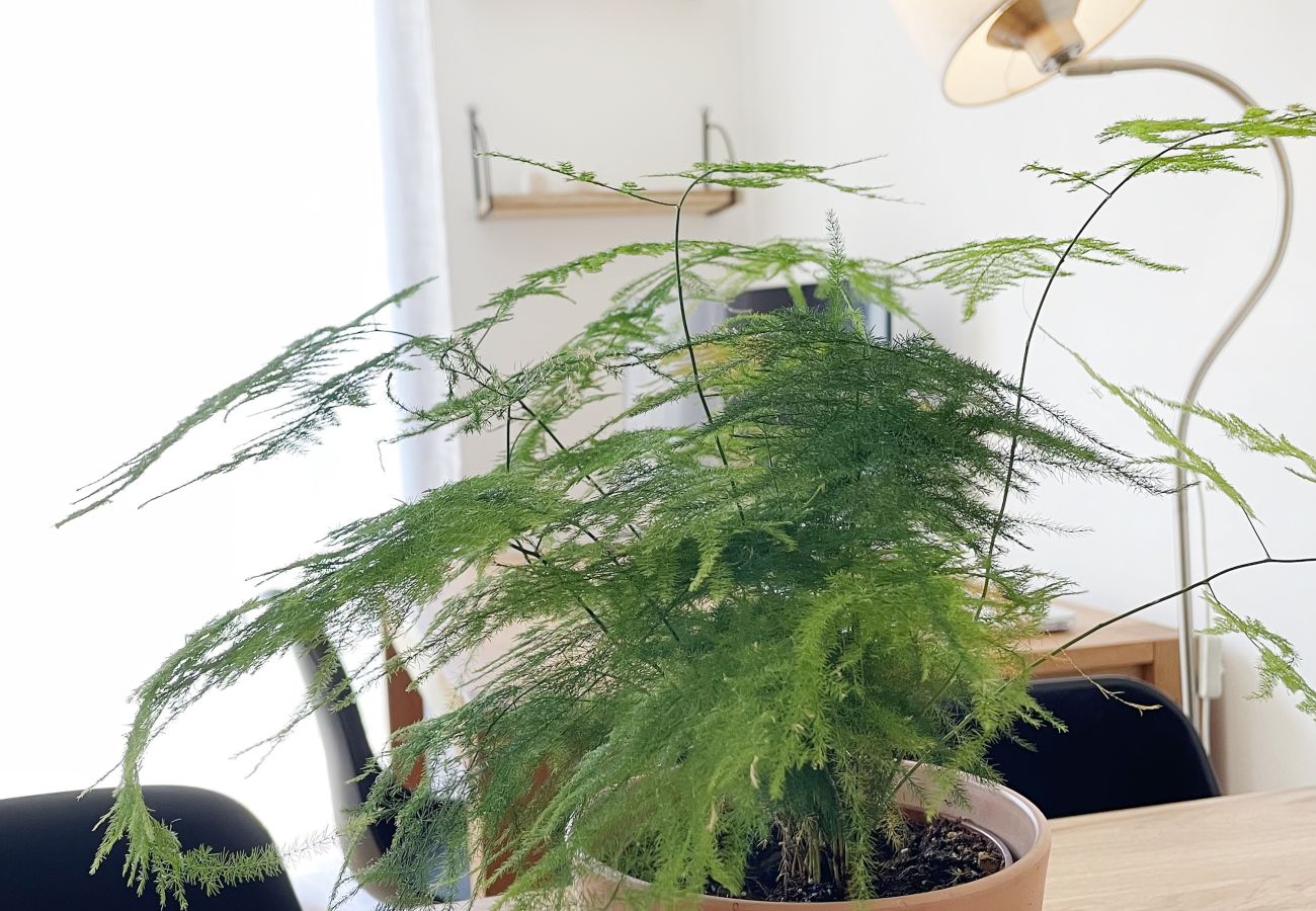 Appartement à Senlis - Casa Verde jardin, privée parking gratuit, 2 pers
